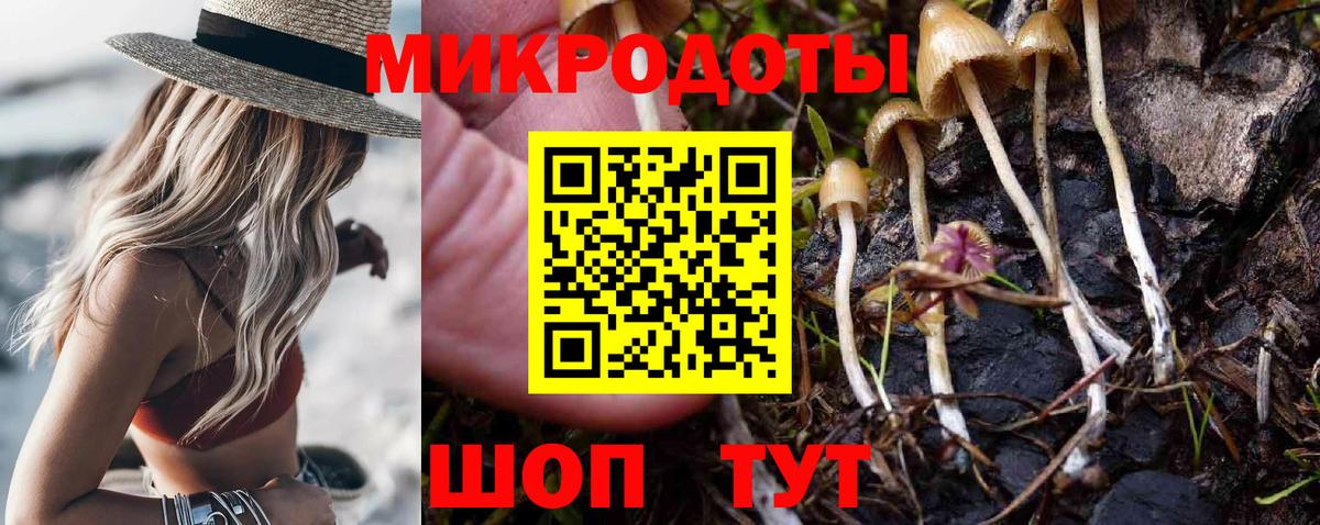 Галлюциногенные грибы GOLDEN TEACHER Кандалакша