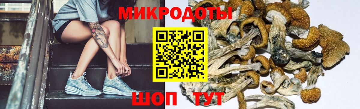 Кандалакша  Псилоцибиновые грибы MAGIC MUSHROOMS  Вход с VPN 